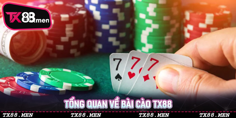 Tổng quan về bài cào TX88 - Từ trò dân gian đến cuộc chơi đẳng cấp